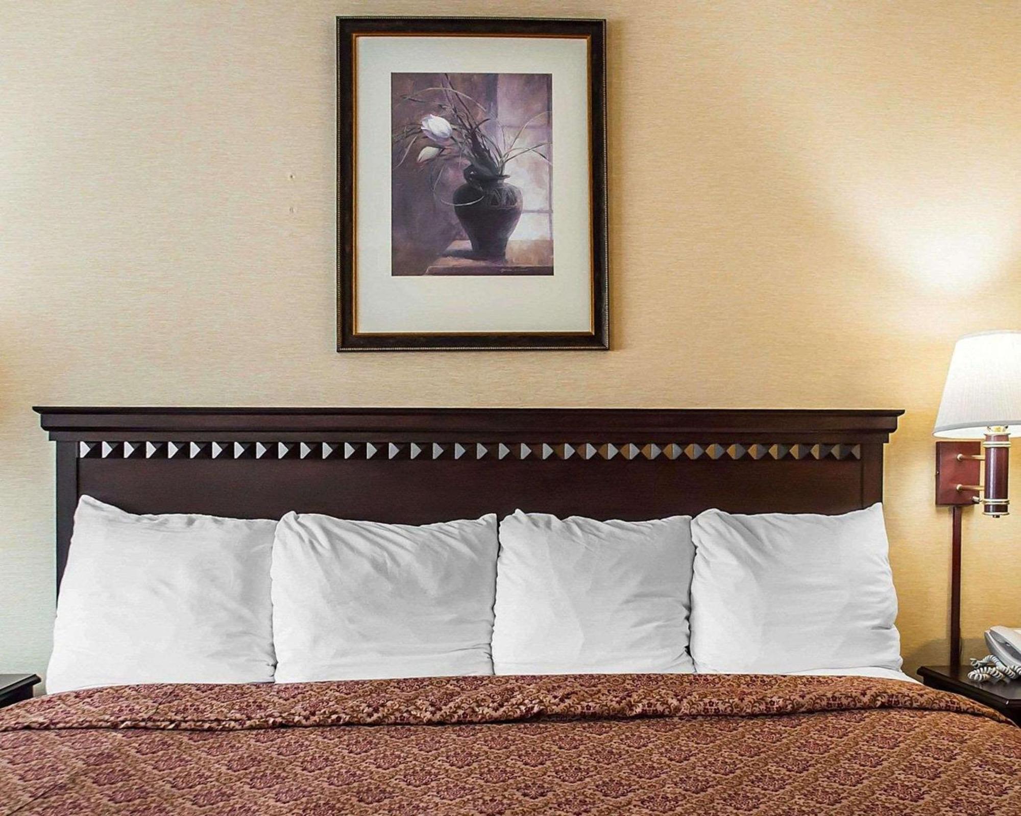 Econo Lodge Elmira-Corning Fisherville Eksteriør bilde